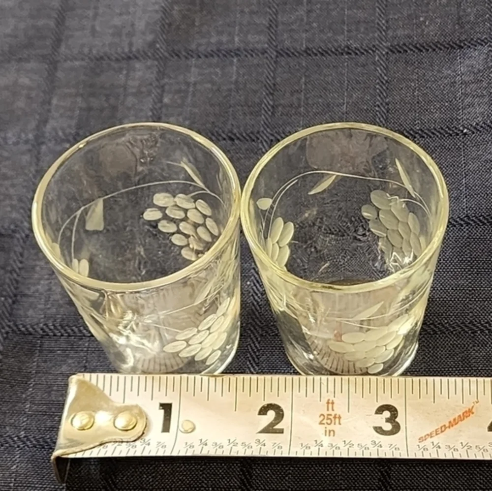 2 Vintage Grapes And Grapevine‎ Etched Glass Shot Glasses